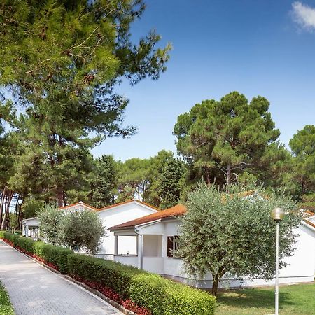 Apartments Galijot Plava Laguna Poreč Dış mekan fotoğraf