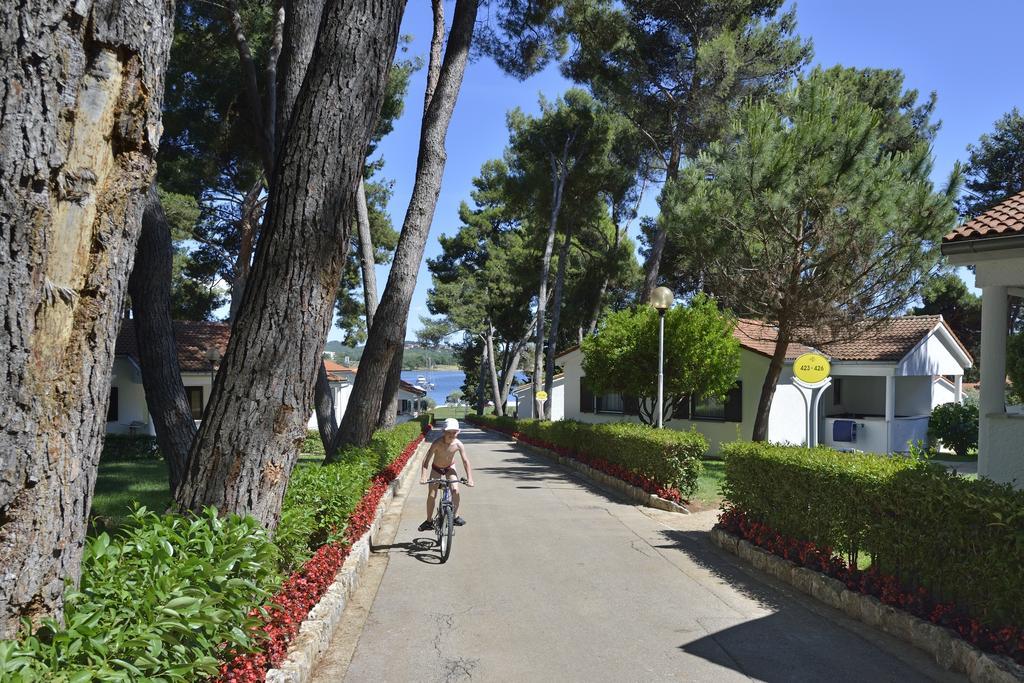 Apartments Galijot Plava Laguna Poreč Oda fotoğraf